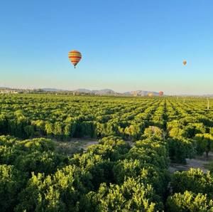 Meet your Posher, Leesa